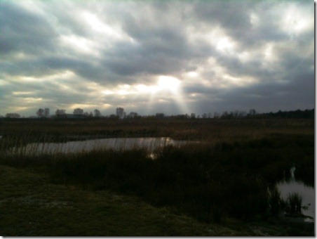 Landmerk in december (De Plateaux) - kopie