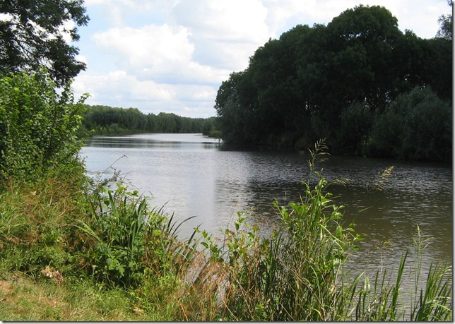 Linge bij Mari&euml;nwaard