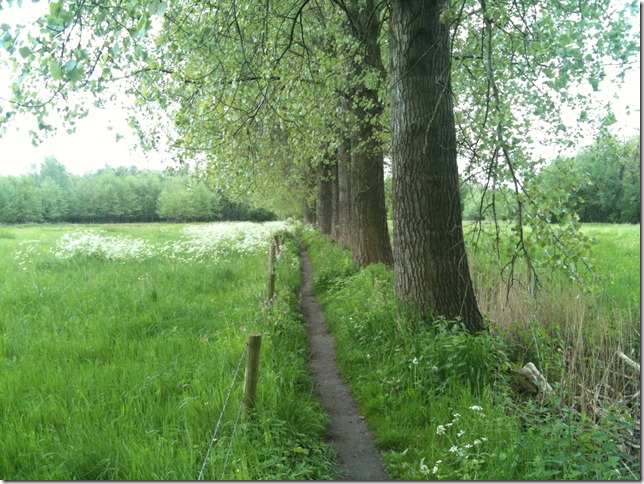 Nederwetten, Nuenen 002