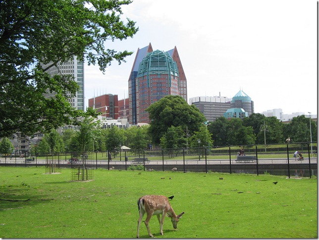Hertenkamp bij nieuwe city