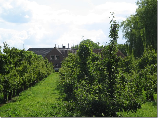 Boerderij Mari&euml;nwaard