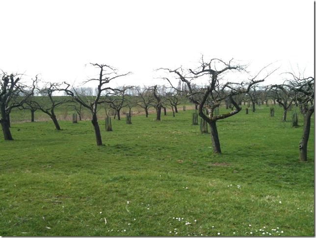 Culemborg e.o 007 Culemborg e.o 007